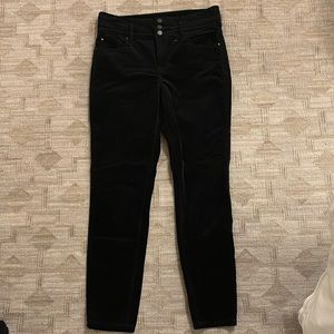 NWT Ann Taylor Black Velvet Pants